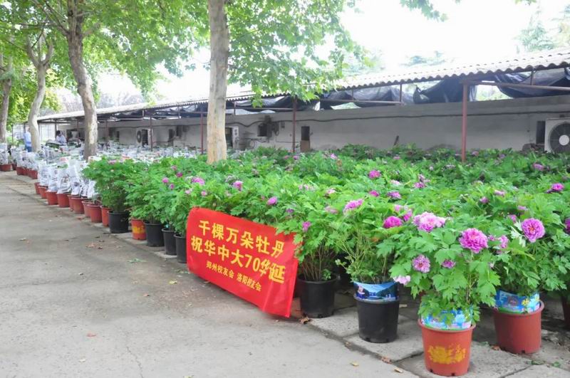 1668739799563191.jpg 640.jpg