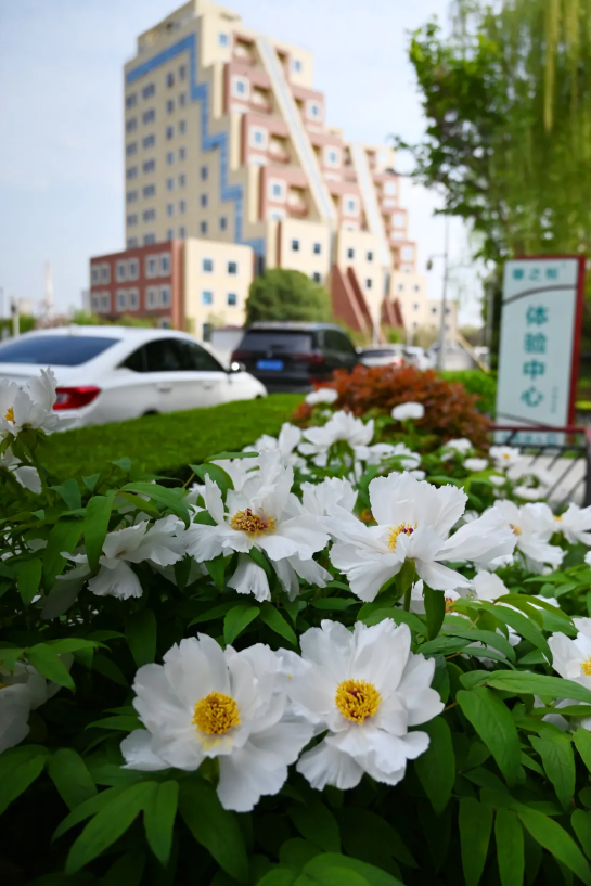 1719192840354133.png image.png